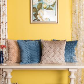 Basic Style Super Soft Cushion Cover Skin-Friendly Velvet Pillow Case for Sofa Living